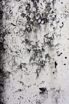 Close up view of a weathered wall texture.