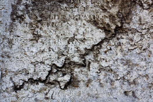 Close up view of a weathered wall texture.