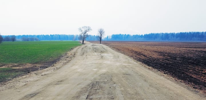 Spring road between green and brown fields