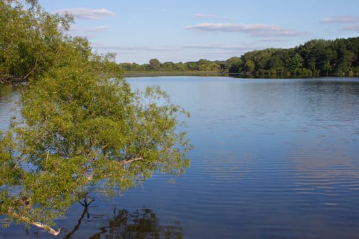 View of Pierce Lake at Rock Cut State Park in northern Illinois.