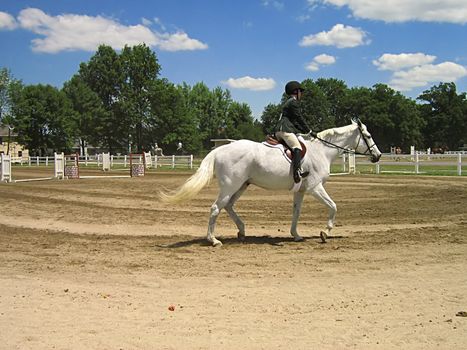 A photograph of a horse and rider.