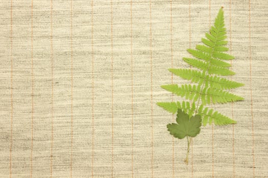 Dried green leaves over natural linen striped textured fabric textile
