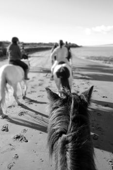 a riders view of a pony ride on a beautiful beach in county kerry ireland in black and white