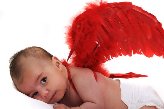 baby in studio smiling and wearing red angle wings