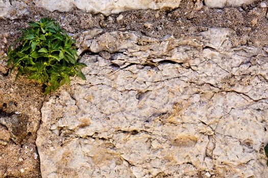 Close up view of a worn textured stone wall.