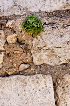 Close up view of a worn textured cement wall.