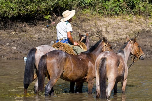 TACUAREMBO, URUGUAY - MAR 6 : Participant in the annual festival "Patria Gaucha" March 6, 2010 in Tacuarembo, Uruguay. It is one of the biggest festival in South America to celebrate gaucho culture