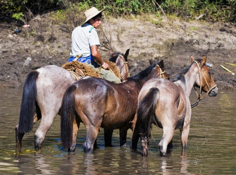 TACUAREMBO, URUGUAY - MAR 6 : Participant in the annual festival "Patria Gaucha" March 6, 2010 in Tacuarembo, Uruguay. It is one of the biggest festival in South America to celebrate gaucho culture