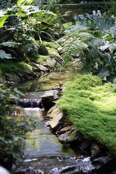 Artificial stream in a botanic garden.