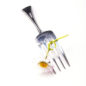 flower and fork isolated on a white background with copyspace showing food concept