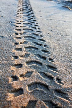 View of some tire tracks on the sand along the beach shore.