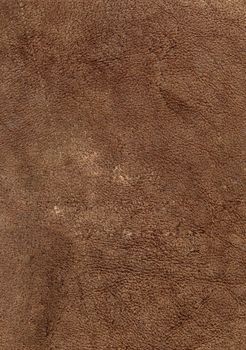 Brown soft leather texture of the ship skin