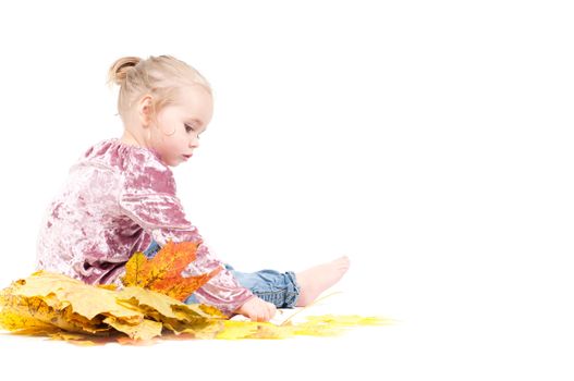 Shot of toddler playing with muple leaves in studio