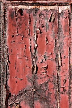 Closeup view of the texture in a section of an old door. 