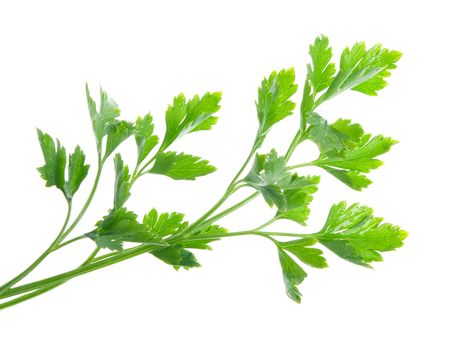 Isolated Parsley on a white background
