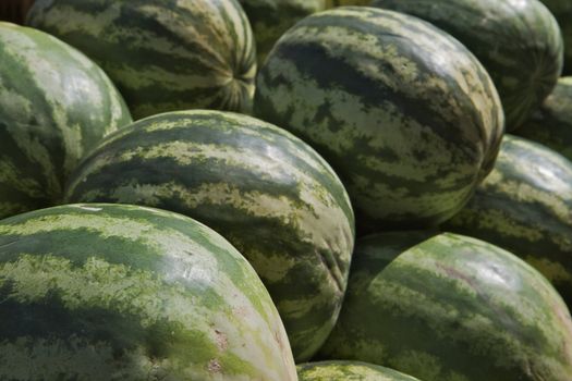 Pile of green water melons at the farmers market