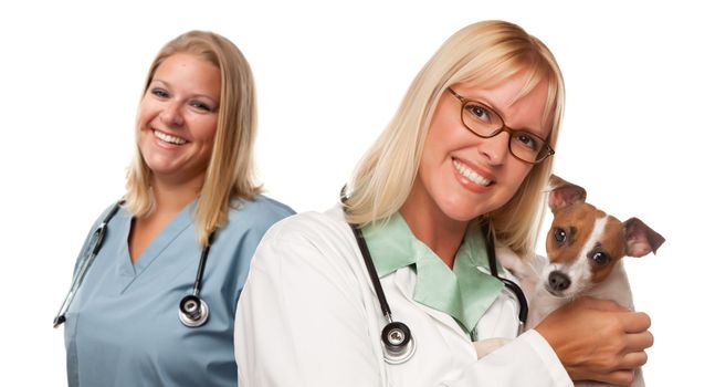 Attractive Female Veterinarian Doctors with Small Puppy Isolated on a White Background.