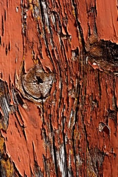 Close up view a wooden texture with peeled paint.