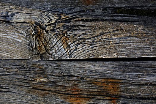 Closeup view of a decaying old piece of wood rotten by the passage of time.