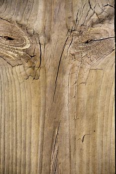 Close up view of some old texture of a wooden board.