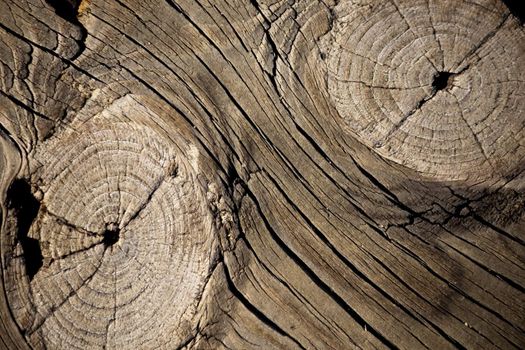 Close up view of some old texture of a wooden board.