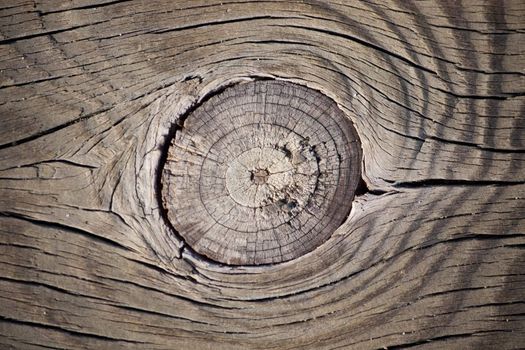 Close up view of some old texture of a wooden board.