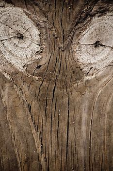 Close up view of some old texture of a wooden board.