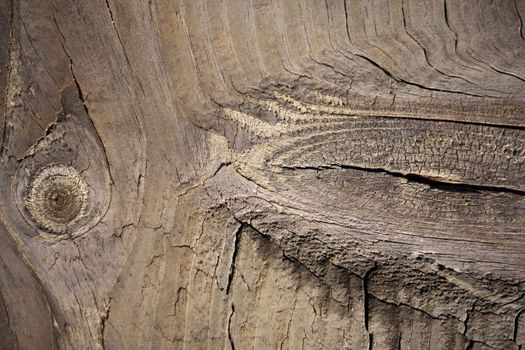 Close up view of some old texture of a wooden board.