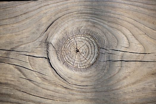 Close up view of some old texture of a wooden board.