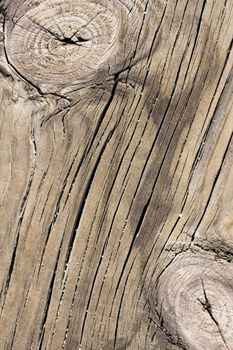 Close up view of some old texture of a wooden board.