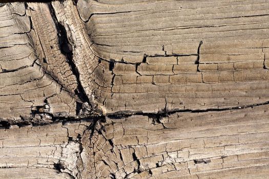 Close up view of some old texture of a wooden board.