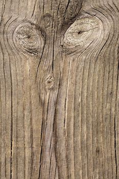 Close up view of some old texture of a wooden board.