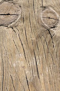 Close up view of some old texture of a wooden board.