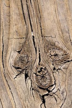 Close up view of some old texture of a wooden board.