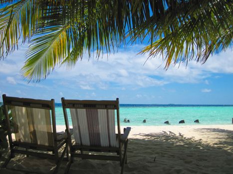 Relaxing on tropical paradise with white sand at Maldives and green palms with blue sky