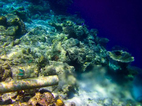 under water world at Maldives blue clear sea