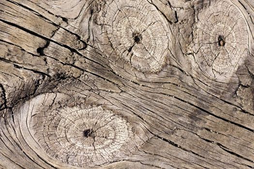 Close up view of some old texture of a wooden board.