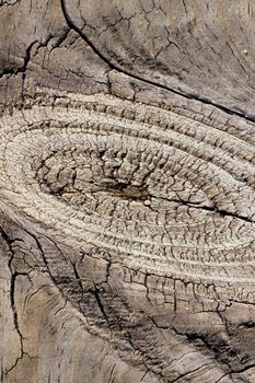 Close up view of some old texture of a wooden board.