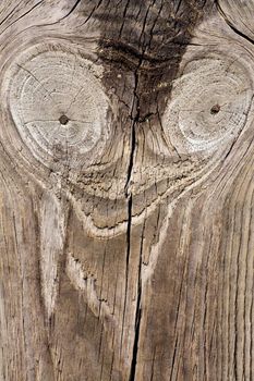 Close up view of some old texture of a wooden board.