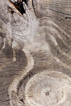 Close up view of some old texture of a wooden board.