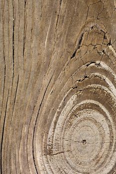 Close up view of some old texture of a wooden board.