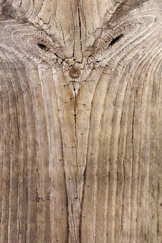 Close up view of some old texture of a wooden board.