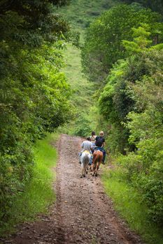 Tourists on horseback in Costa Rican cloud forest