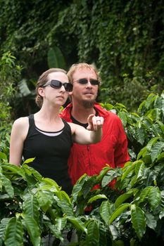 Attractive American and European couple on coffee plantation in Costa Rica