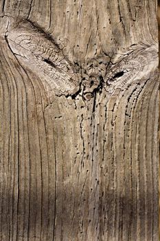 Close up view of some old texture of a wooden board.