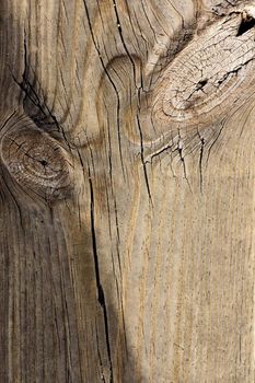 Close up view of some old texture of a wooden board.