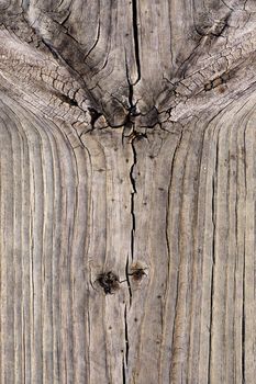 Close up view of some old texture of a wooden board.