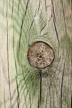 Close up view of some old texture of a wooden board.