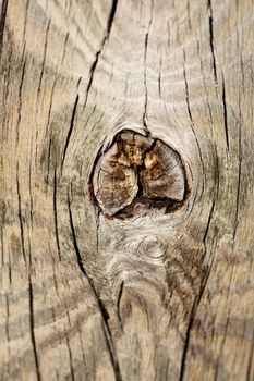 Close up view of some old texture of a wooden board.