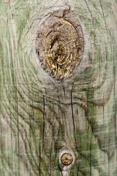 Close up view of some old texture of a wooden board.